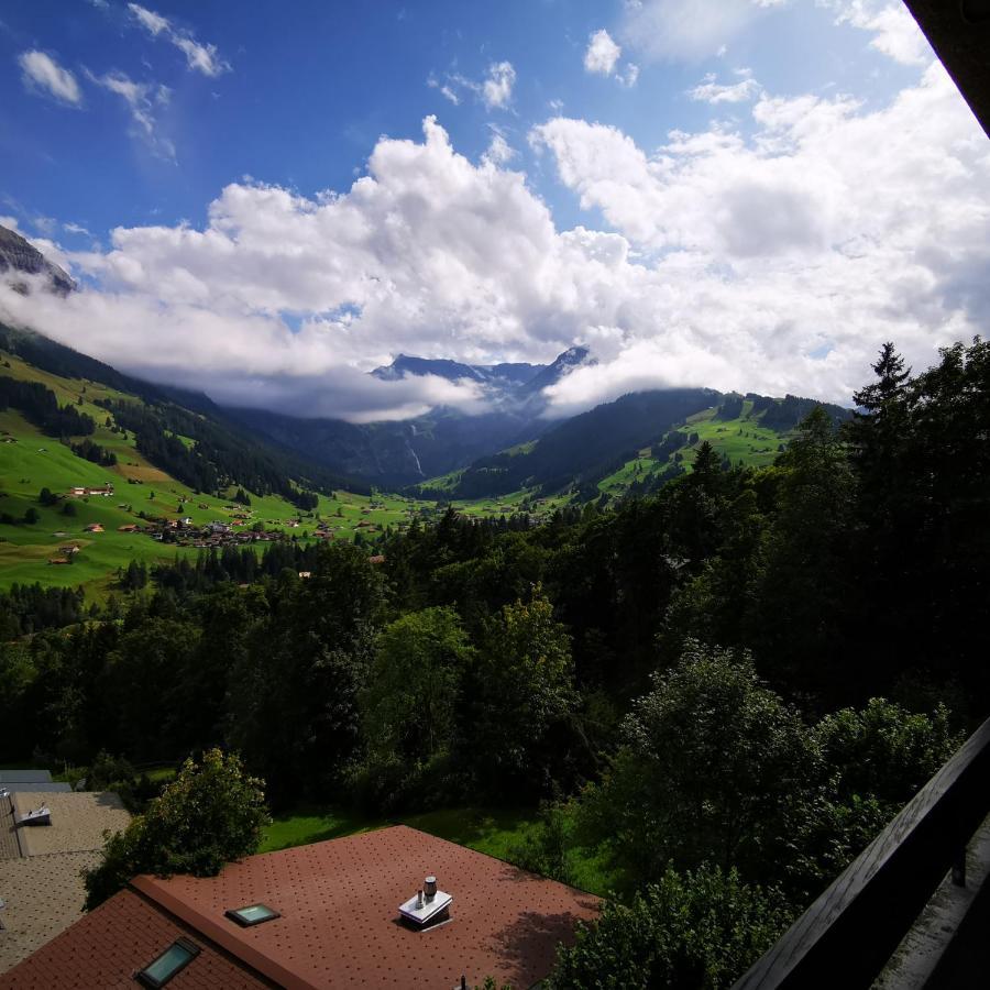 Fewo Fernsicht Crystal Adelboden Dış mekan fotoğraf