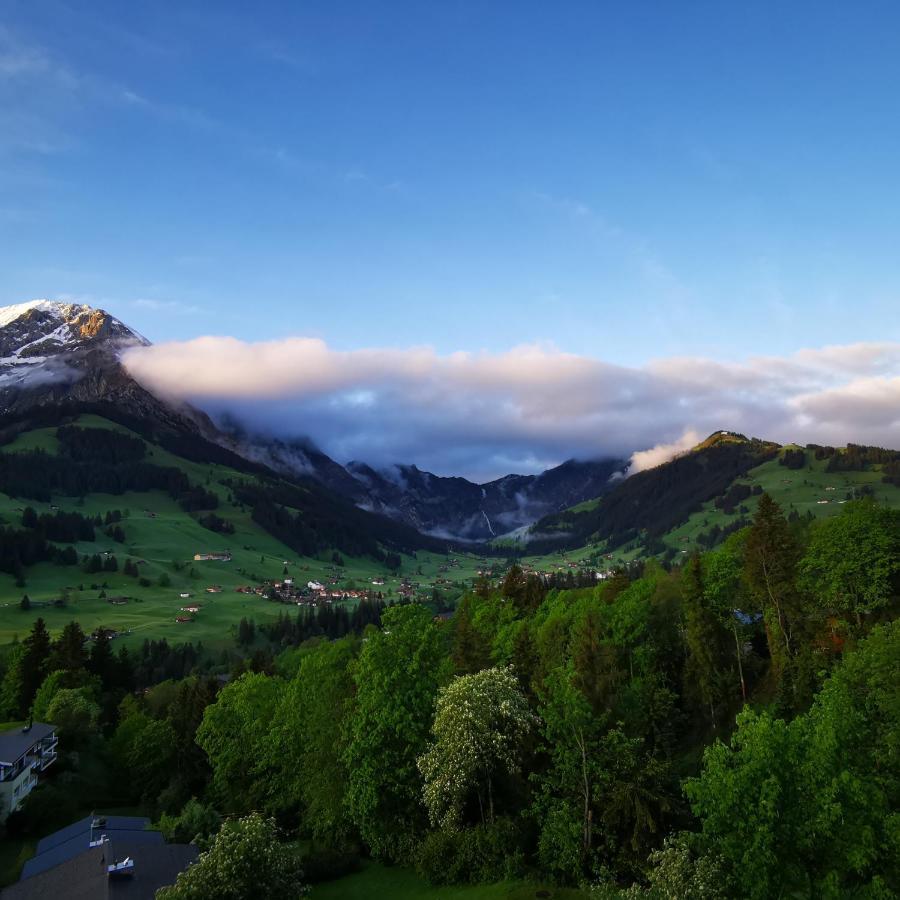 Fewo Fernsicht Crystal Adelboden Dış mekan fotoğraf